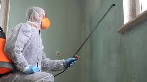 Professional Mold Inspection in Ann Arbor, MI